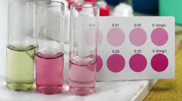 Ammonia & Nitrite
