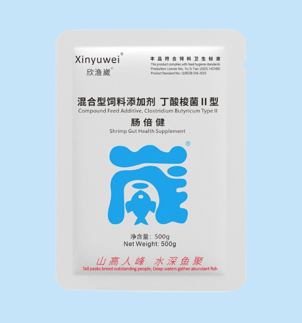 Gut Health Supplement